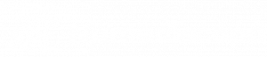 numeroscopo_logo-hrz-BCO-300x65