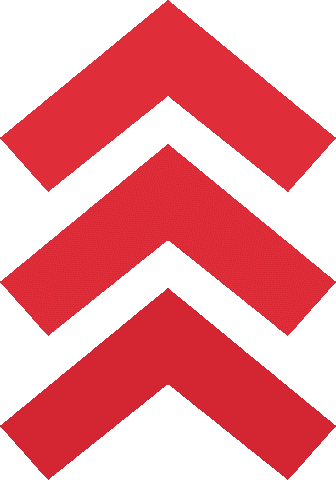 seta_nova
